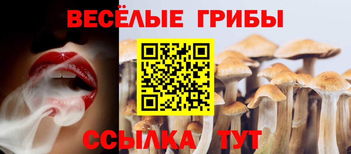 Псилоцибиновые грибы GOLDEN TEACHER  Вход с VPN  Лабинск 